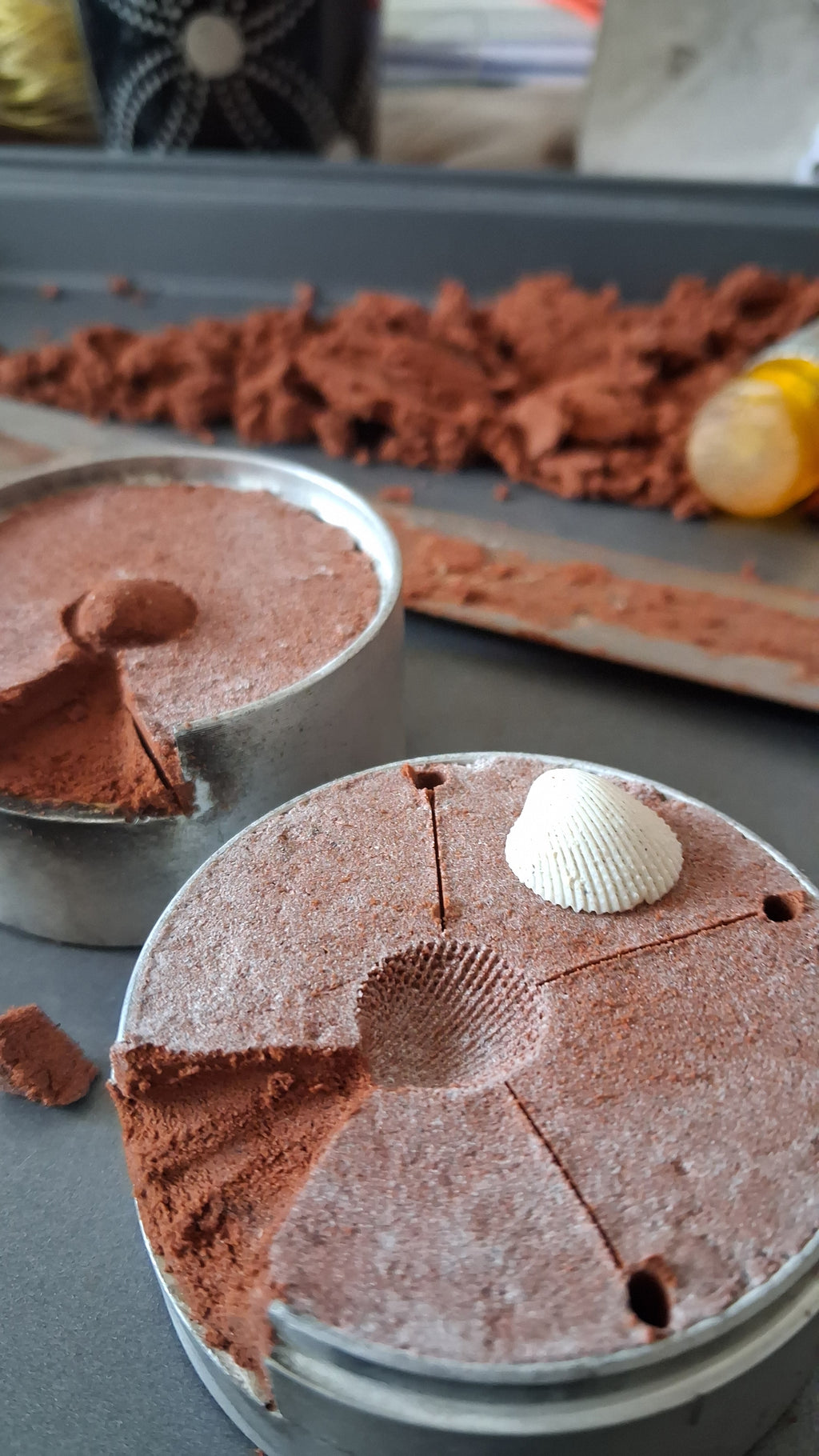 orecchini a lobo a forma di conchiglia con perle e pietre